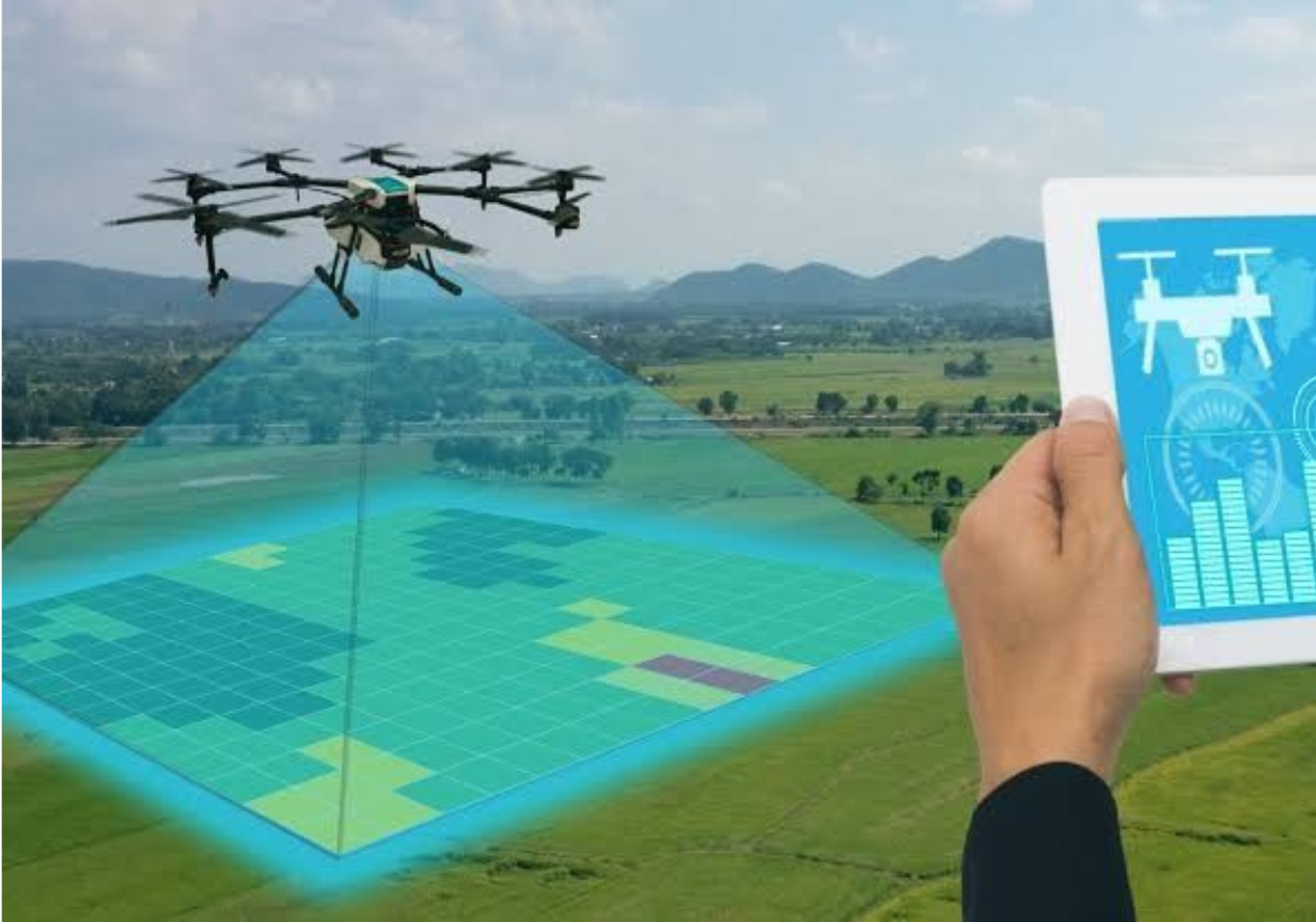 1 Month Drone Data Processing